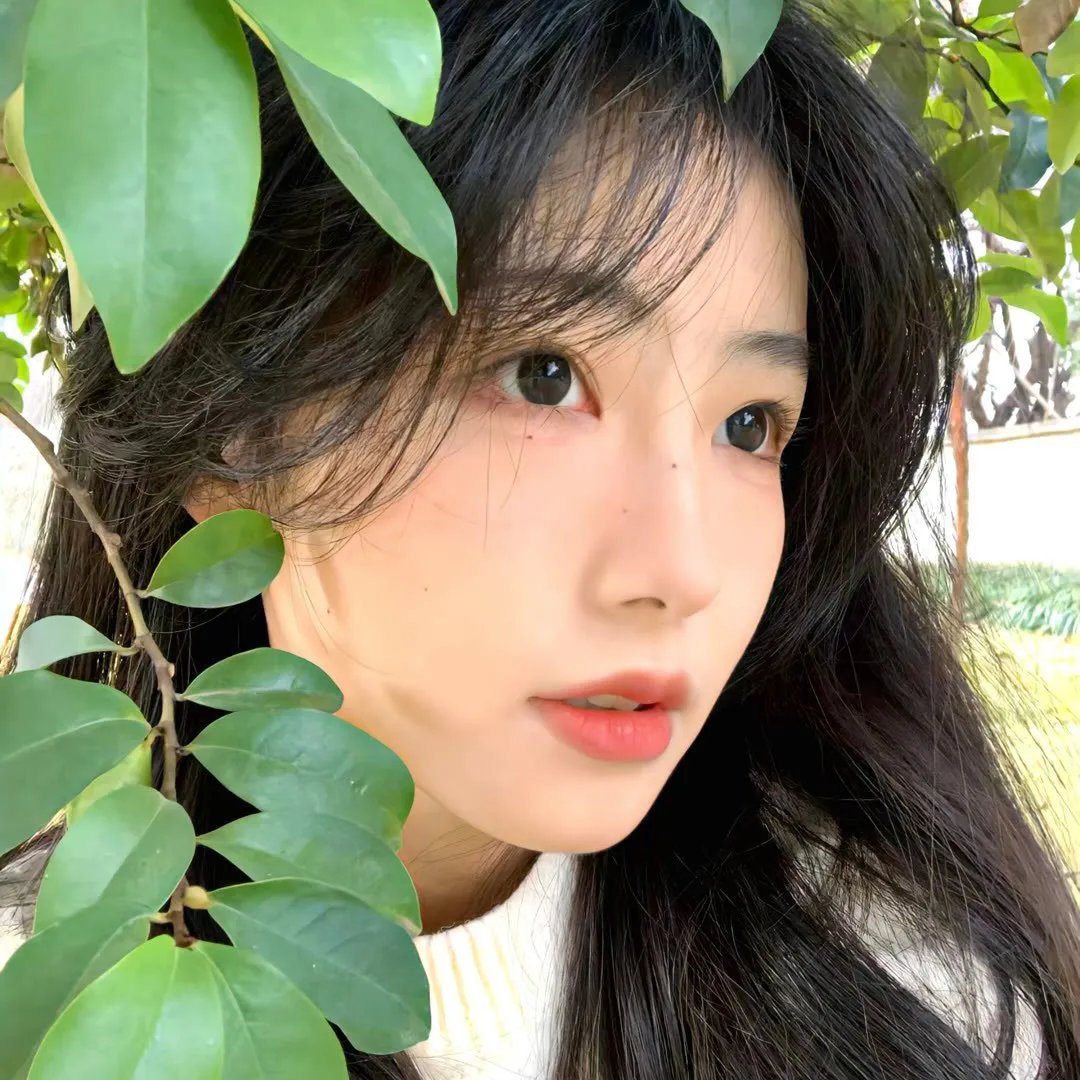 命运征服者