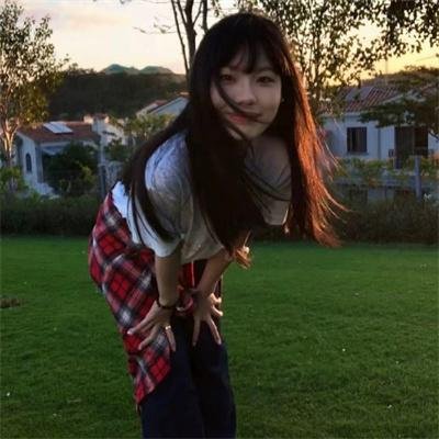 认识狗狗